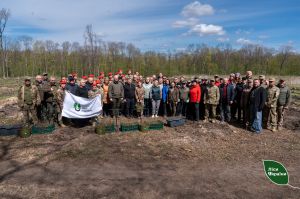 На Тернопільщині завершилася весняна лісокультурна кампанія